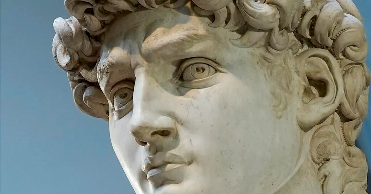 A fight to protect the dignity of Michelangelo’s David raises questions about freedom of expression