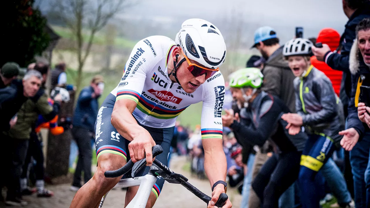 Flandern-Rundfahrt live im Ticker: Van der Poel, Politt, Degenkolb beim Kopfsteinpflaster-Klassiker in Belgien