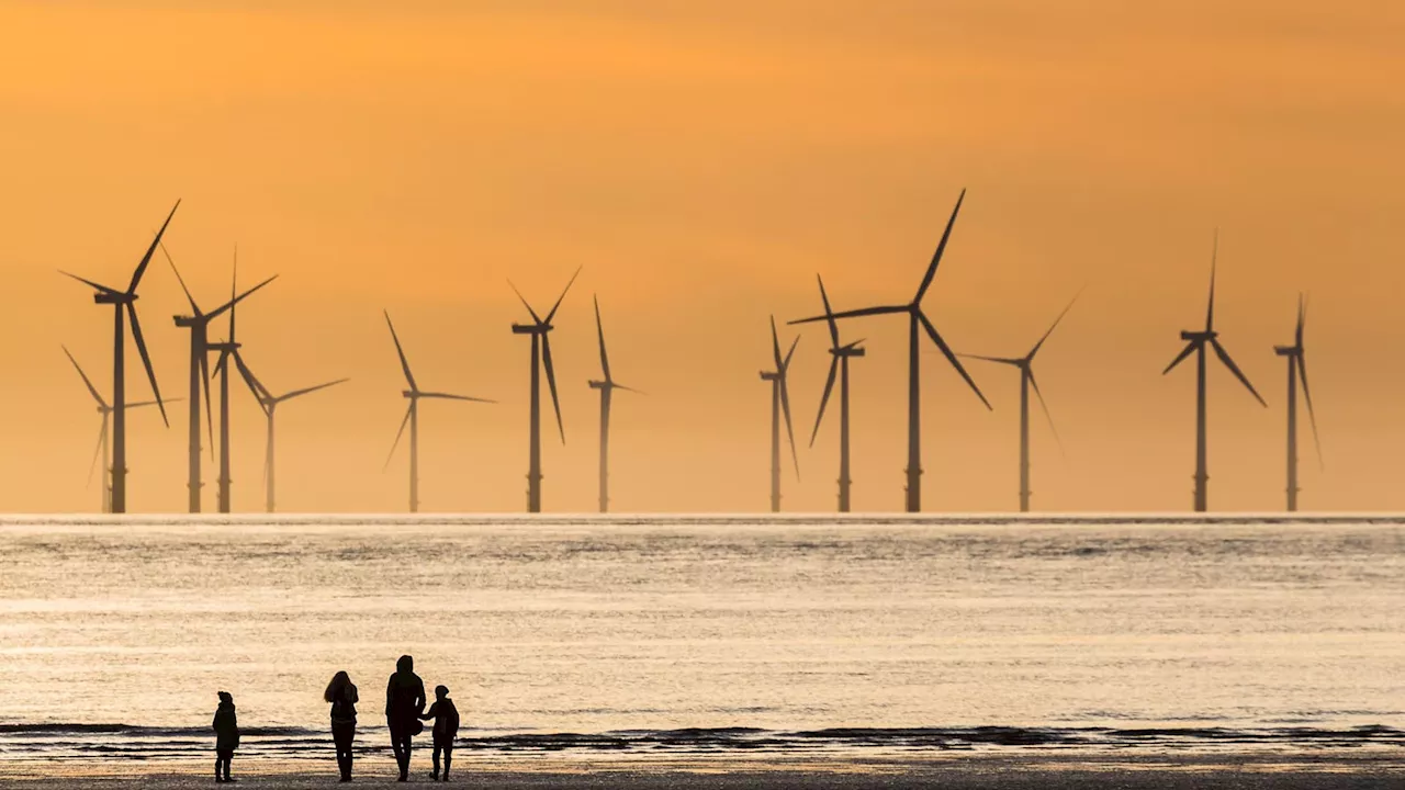 A Biologist Exposes 3 ‘Hidden Dangers’ Of Offshore Wind Farms