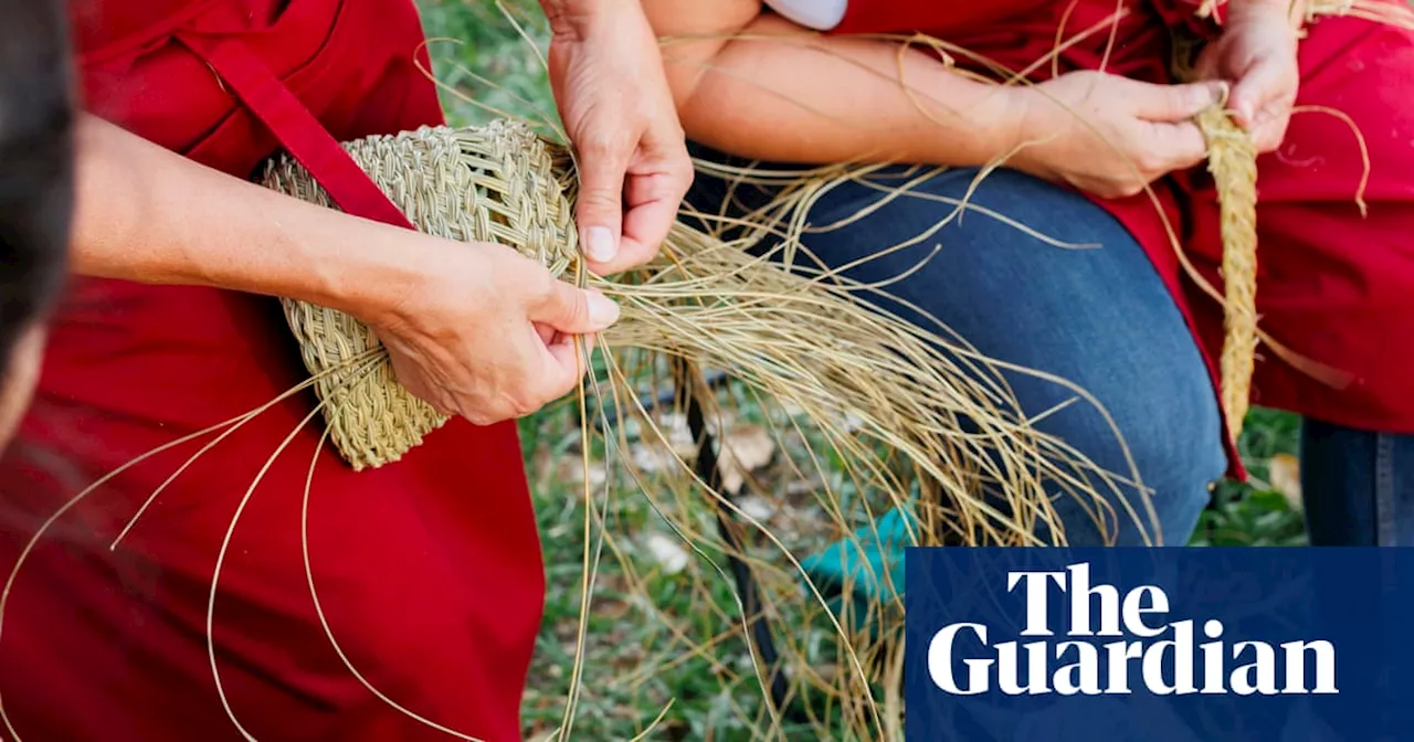 ‘It’s a worldly thing’: the ancient, multi-stranded craft of weaving baskets