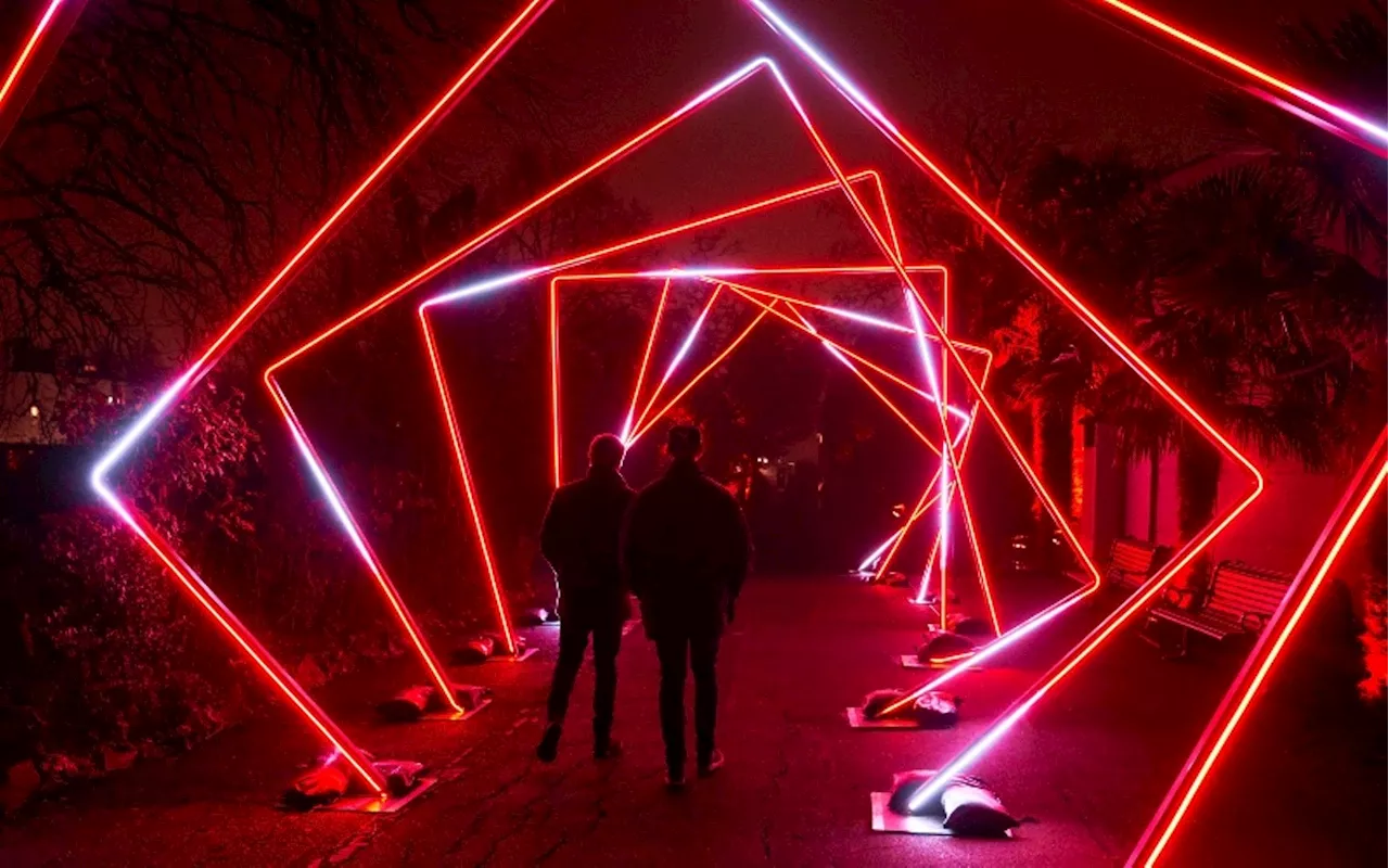 Lightscape Brings Dazzling Illuminations To Houston Botanic Garden