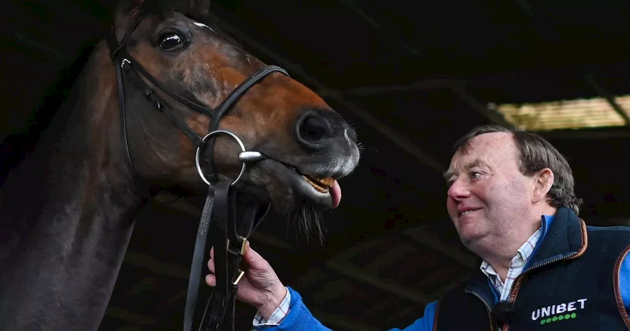 Constitution Hill health update as Nicky Henderson's star suffers setback