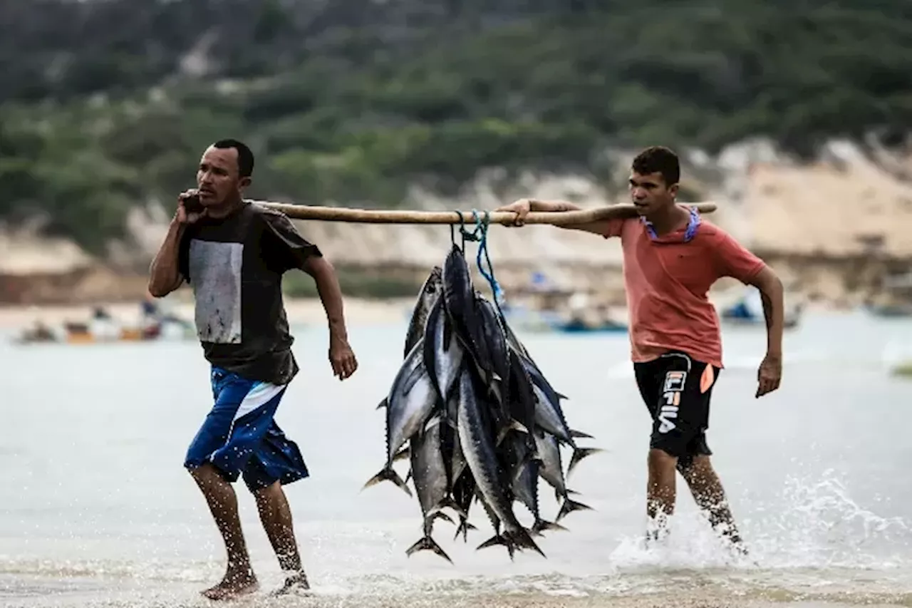 Dukung Produk Laut Khas Indonesia Semakin Populer dengan Indikasi Geografis, KKP Ungkap Strategi