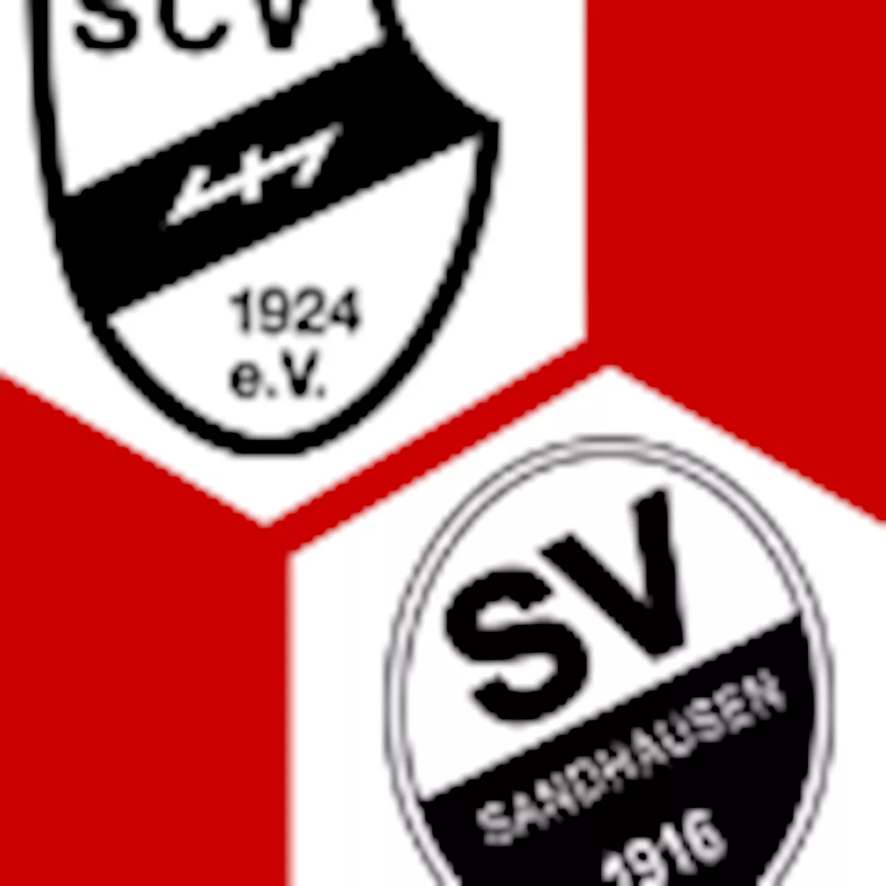 SV Sandhausen 1:2 | 31. Spieltag