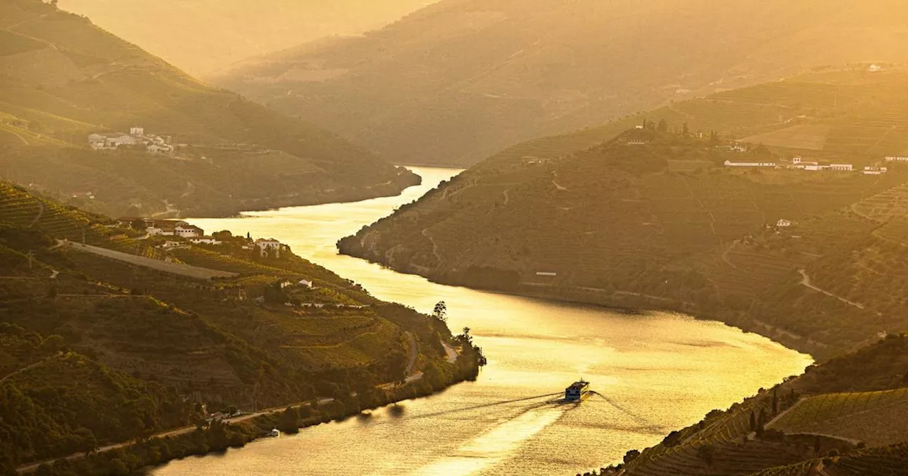 Un terroir et des panoramas incroyables : voici nos meilleures adresses pour visiter la Vallée du Douro