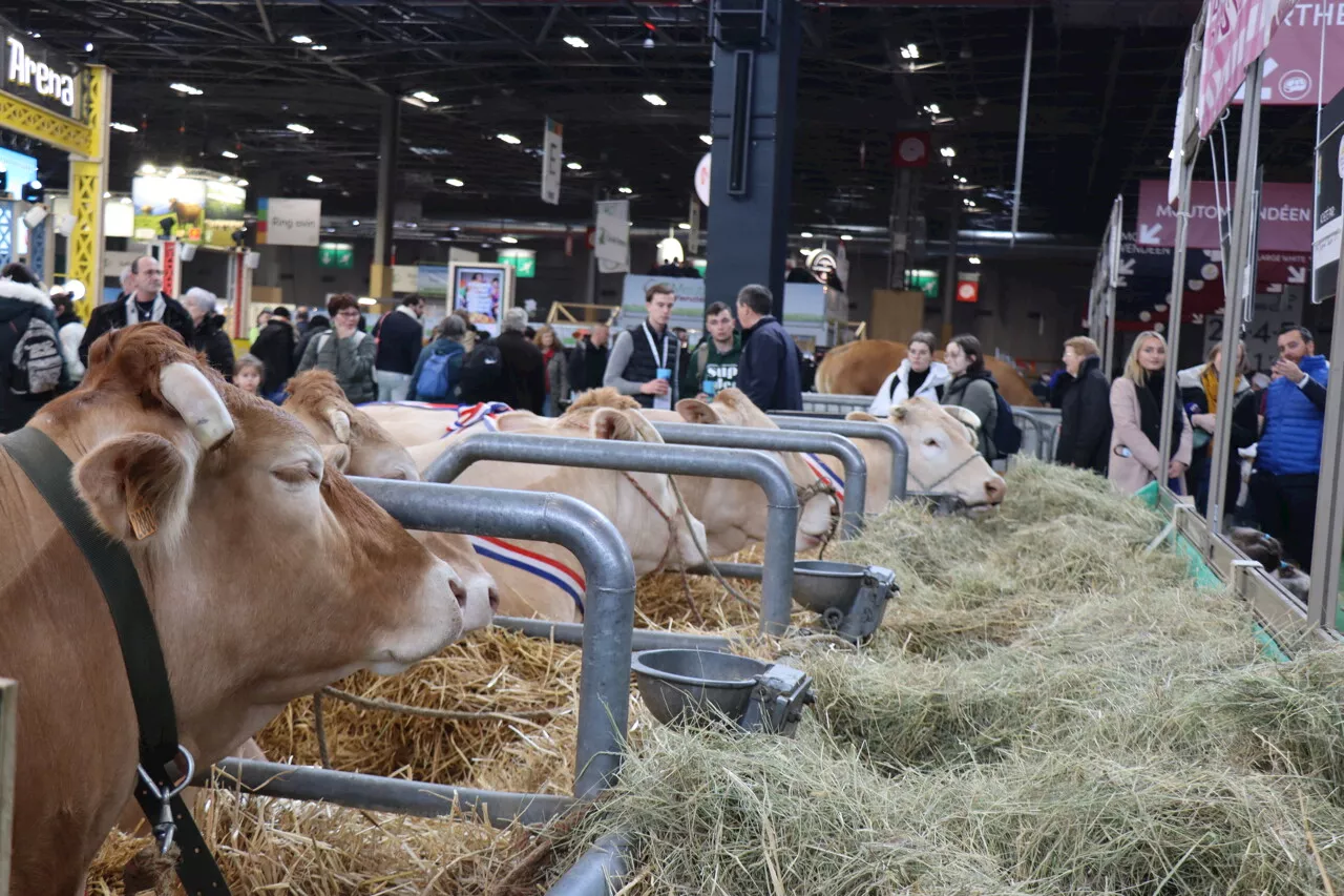 Un salon de l'agriculture va avoir lieu dans l'Oise pendant trois jours, voici où