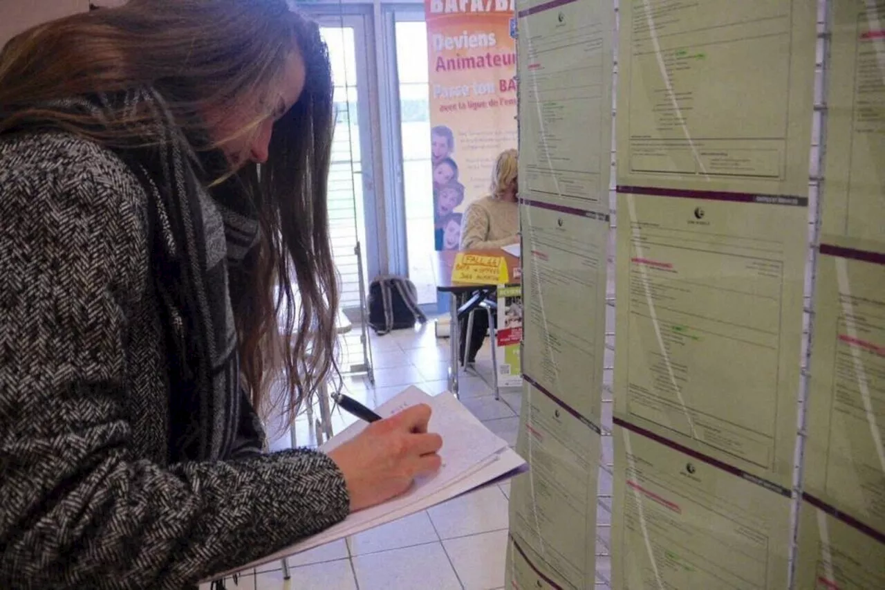 Une semaine pour trouver un job d'été dans l'Orne avec le BIJ