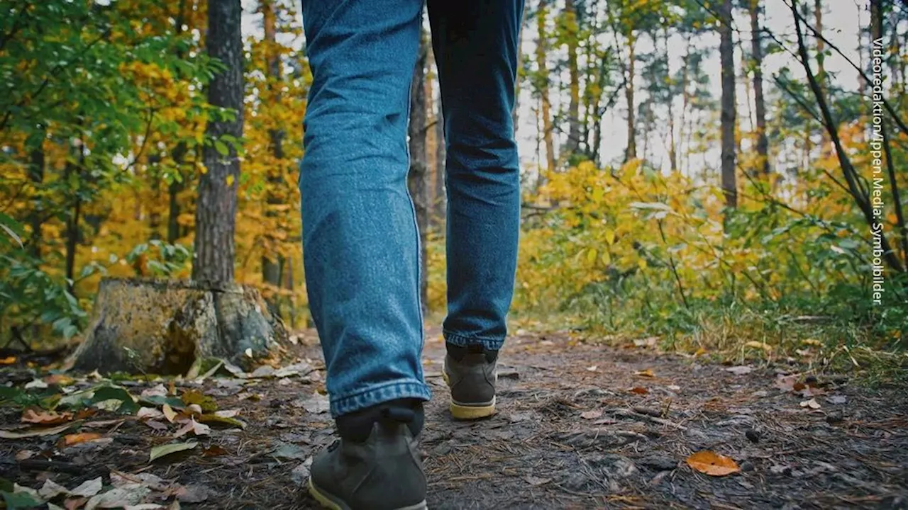 Wandern im Frühling: Entdecken Sie den Plattberg in den Alpen