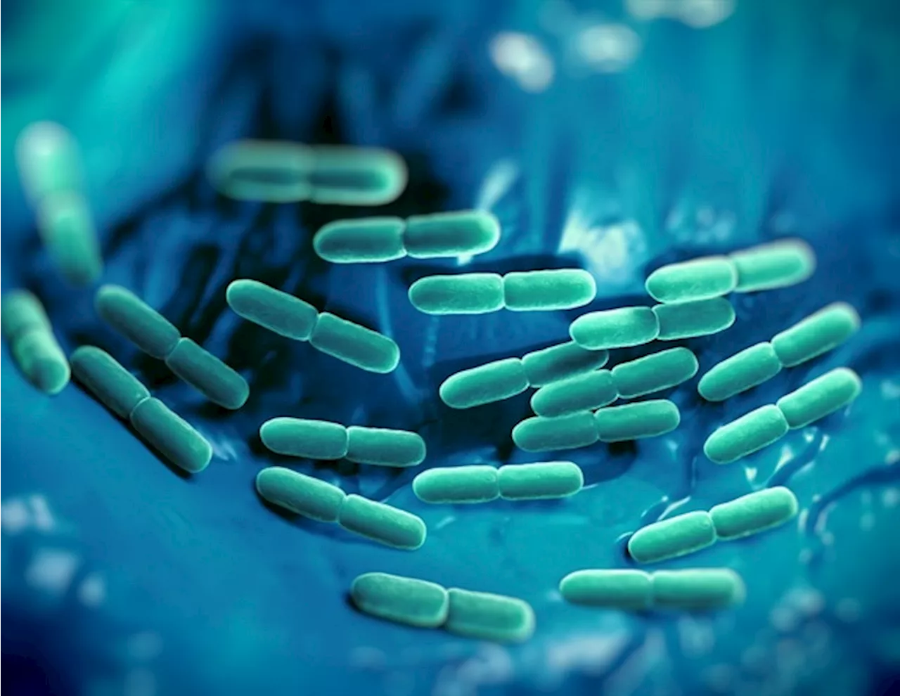 Scientists identify distinct molecular signatures for sepsis diagnosis and prognosis