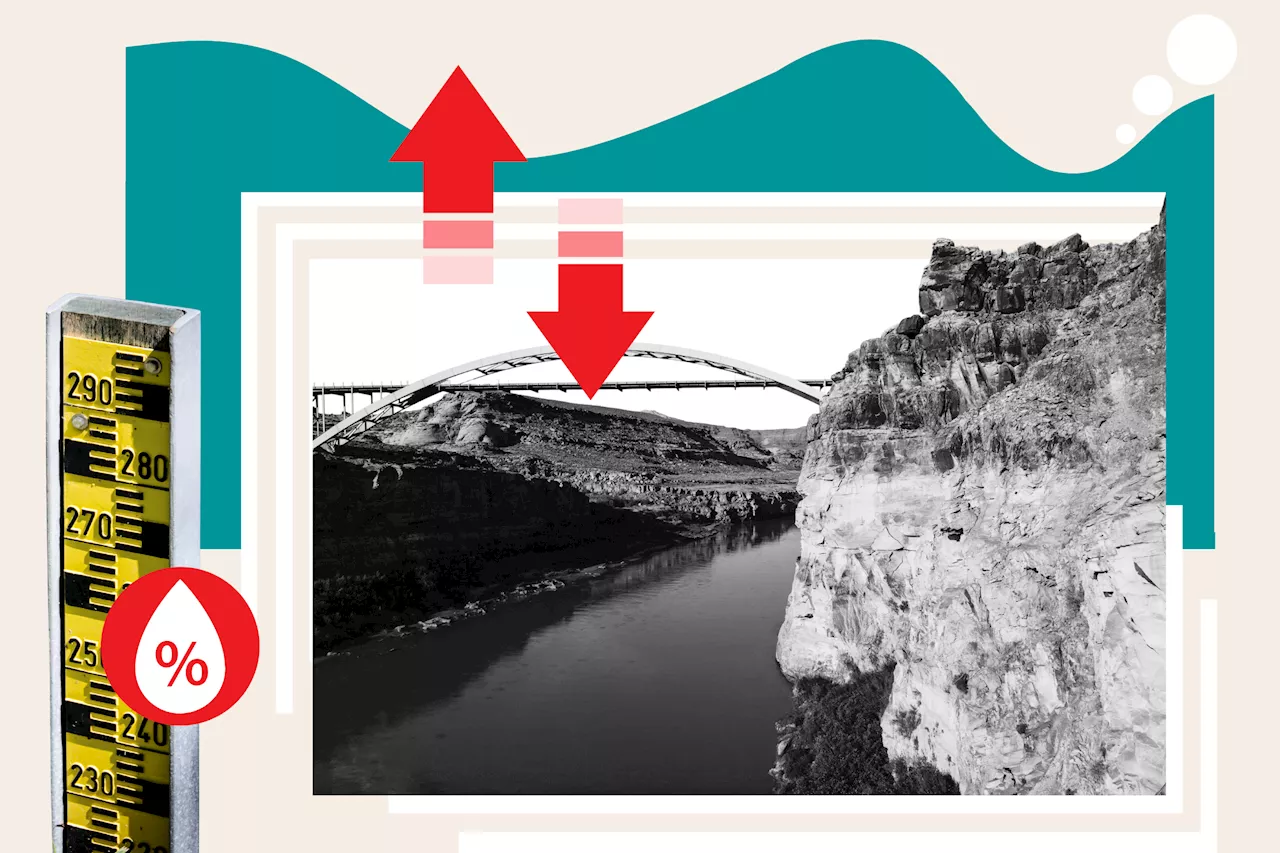 How Lake Powell Water Levels Have Changed So Far This Year