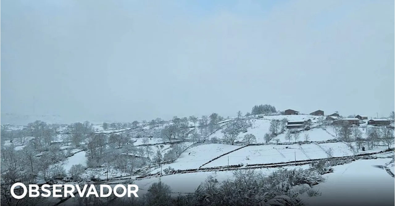 Viana do Castelo, Vila Real e Braga em aviso laranja devido à neve