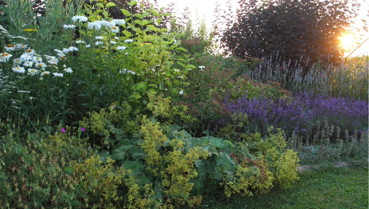 'Nel giardino il romanticismo che ci serve per combattere la crisi del clima'