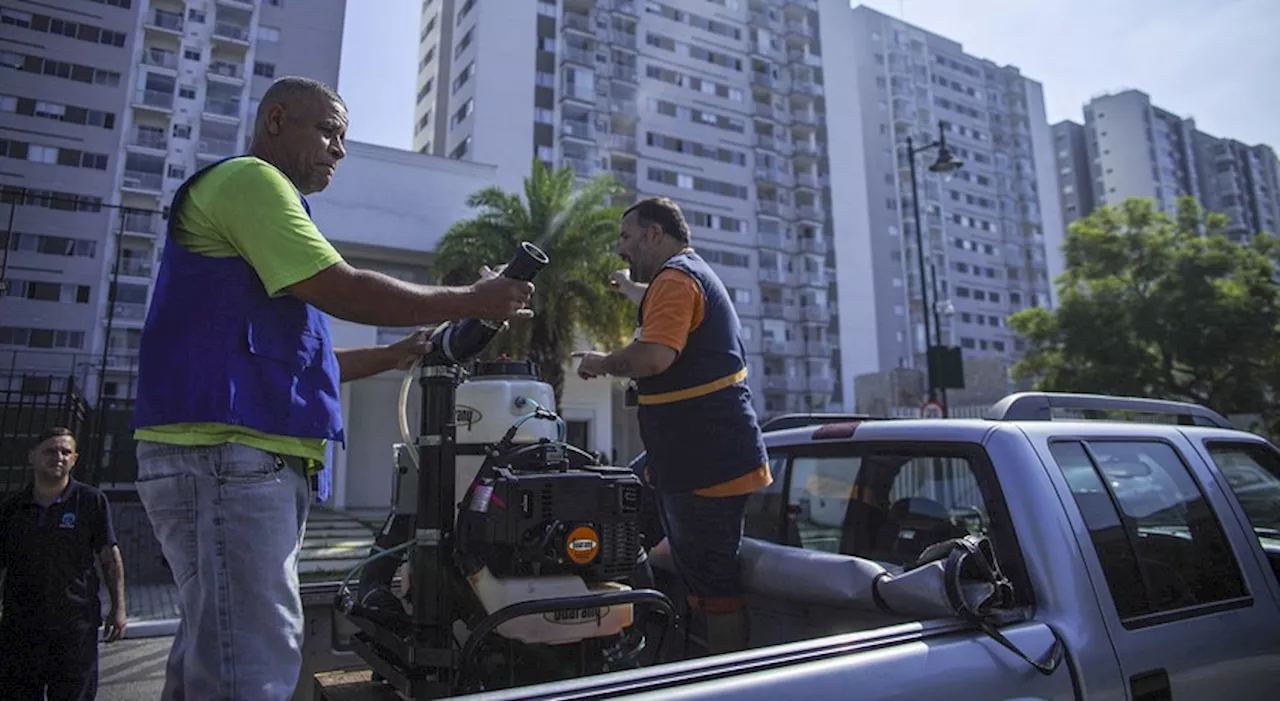 Brasil no meio de uma tempestade perfeita de dengue deve registar recorde de mortes em 2024