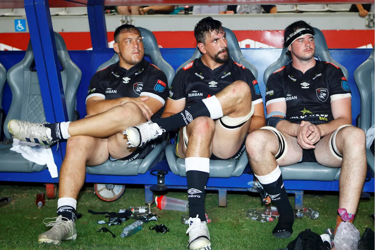 Sharks star in doubt for Euro cup duel