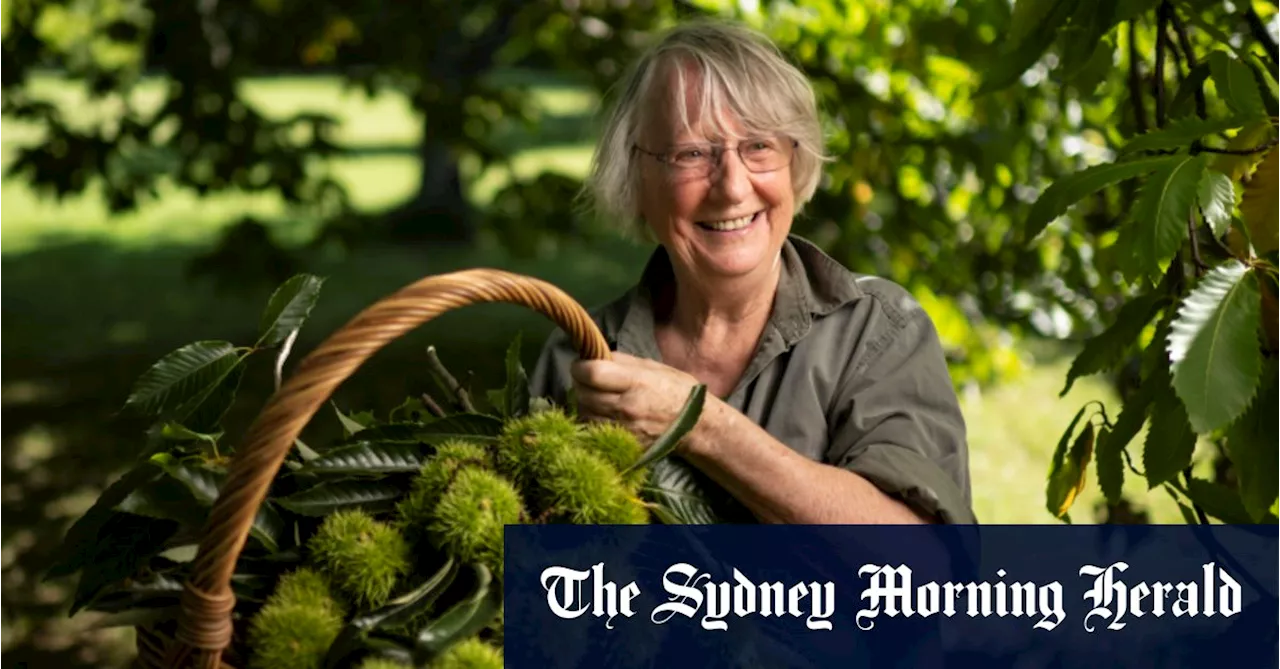 ‘This is my first good crop in 50 years’: cockatoos the key to Beverley’s success