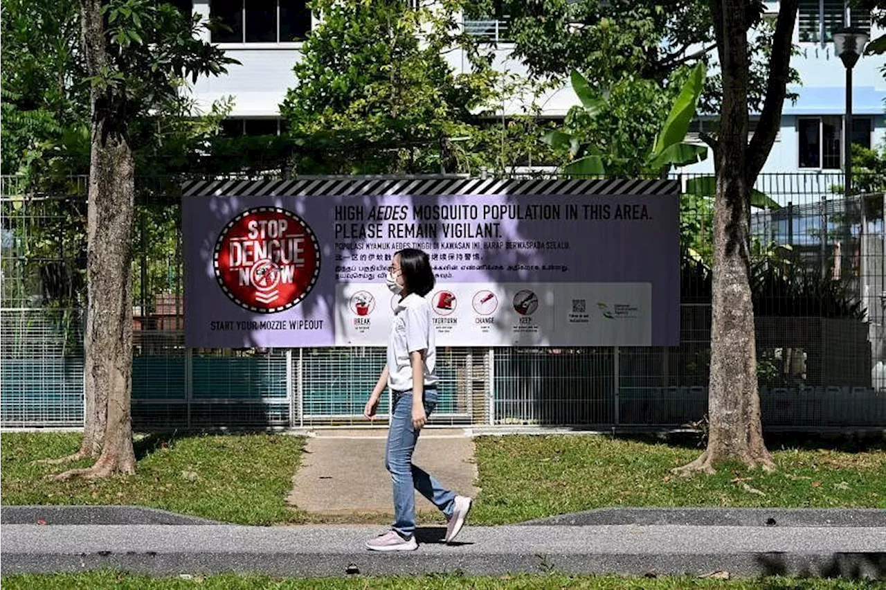 Research projects to study impact of climate change on diseases in Singapore