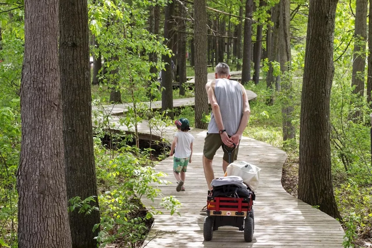 Small forest fire put out in Oka provincial park as Quebec fire season starts early