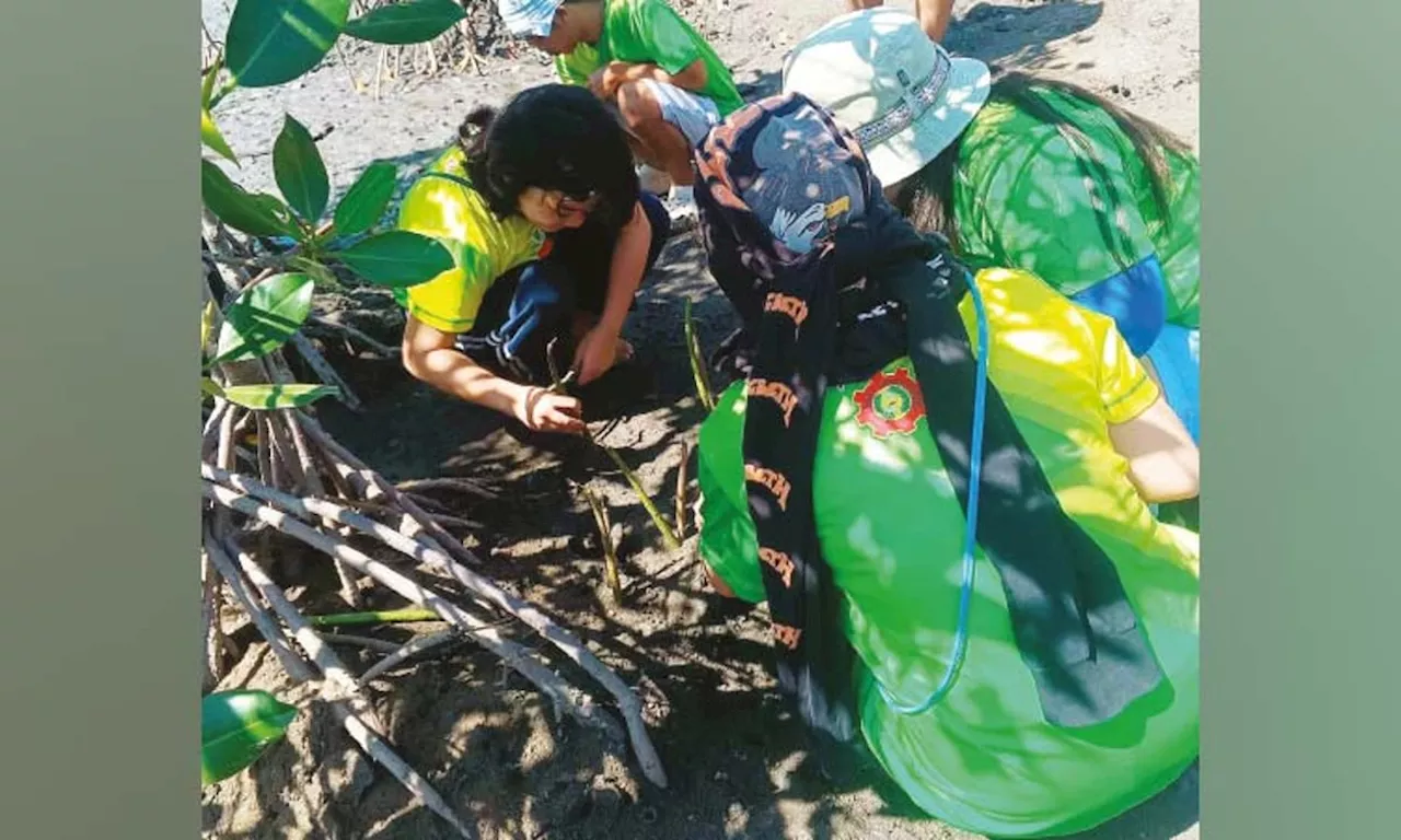 ALS students plant mangroves