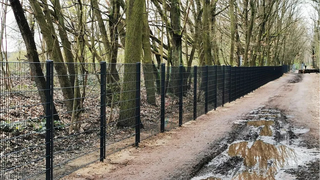 „Erinnert mich an die Berliner Mauer“: Empörung über Einzäunung am Berliner Flughafensee