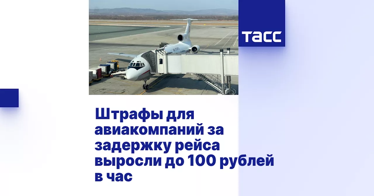 Штрафы для авиакомпаний за задержку рейса выросли до 100 рублей в час