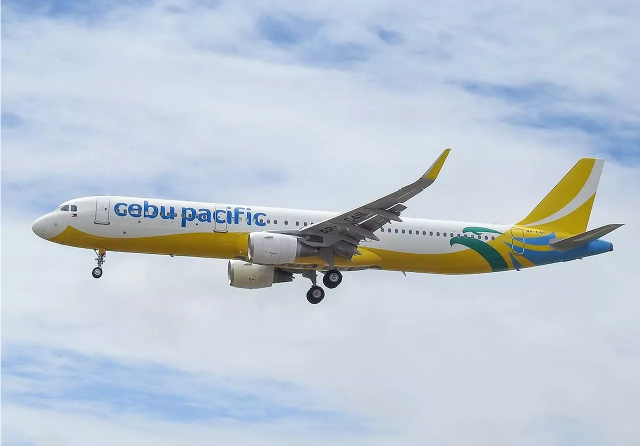 Cebu Pacific, group sign deal to help people with Down Syndrome