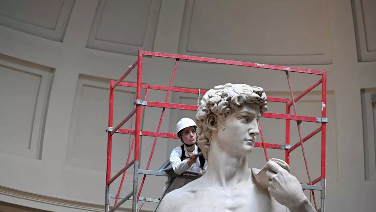 A fight to protect the dignity of Michelangelo's David raises questions about freedom of expression