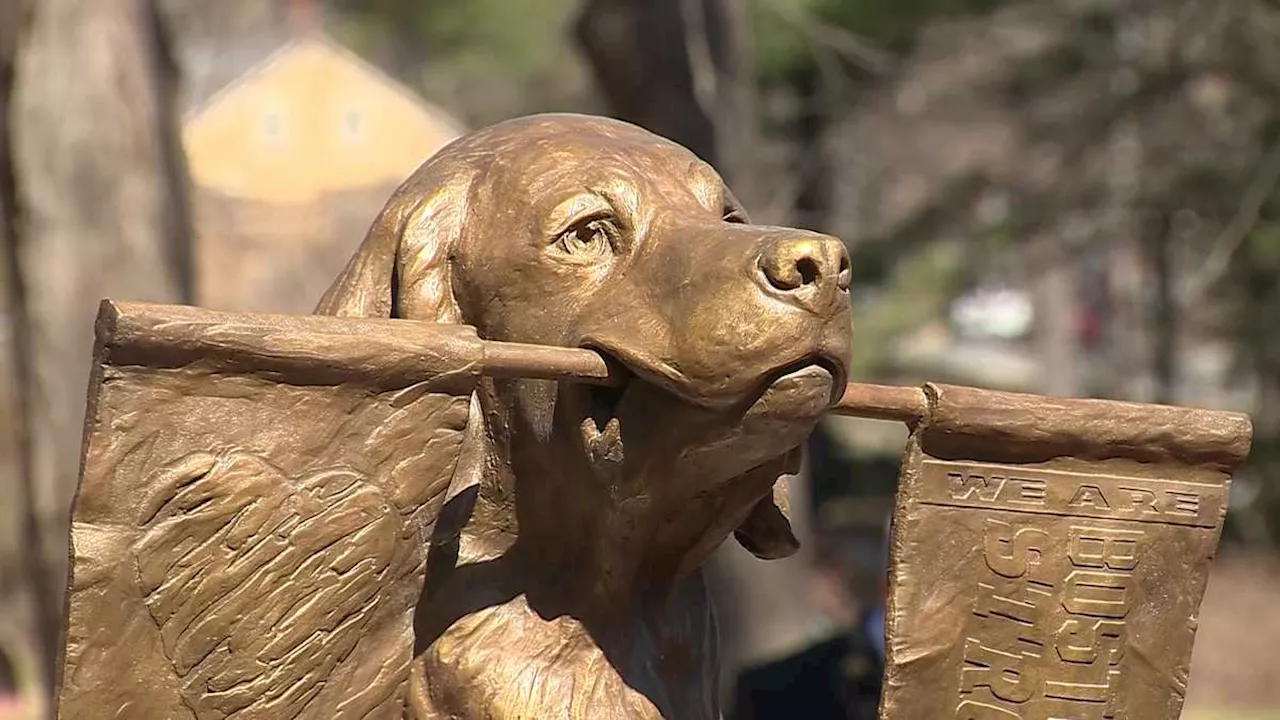 Statue of Spencer the Boston Marathon dog unveiled along route