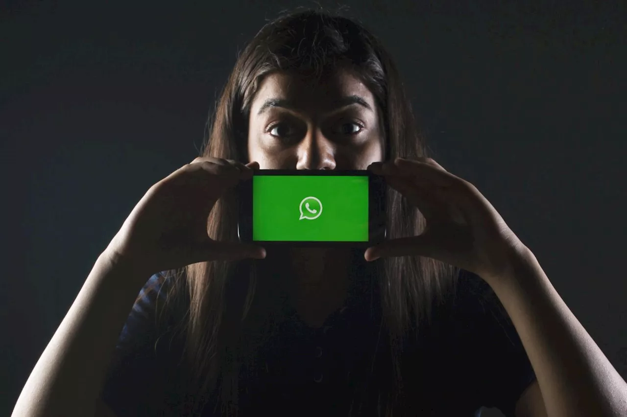 WhatsApp : rechercher un message sur Android est désormais beaucoup plus simple