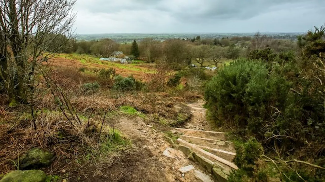 Police warn owners to keep dogs on leads after lambs killed at Nicky Nook