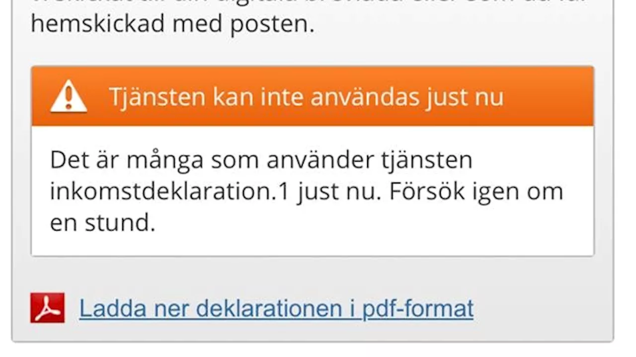  Problem att se deklarationen på Skatteverkets hemsida