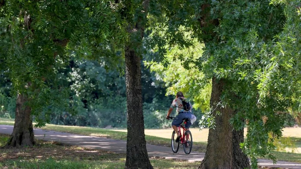 Dallas Park and Recreation Department may get new supervisor