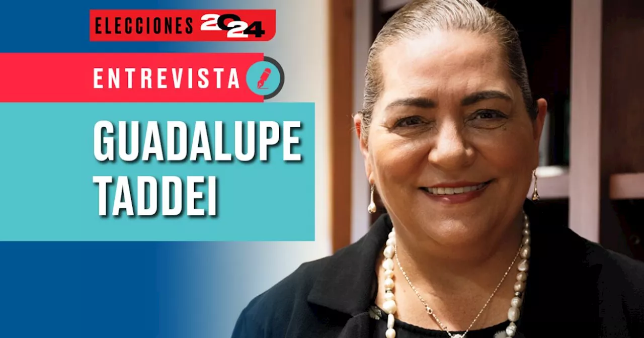 Guadalupe Taddei: 'La estructura del INE está firme, de pie y segura'