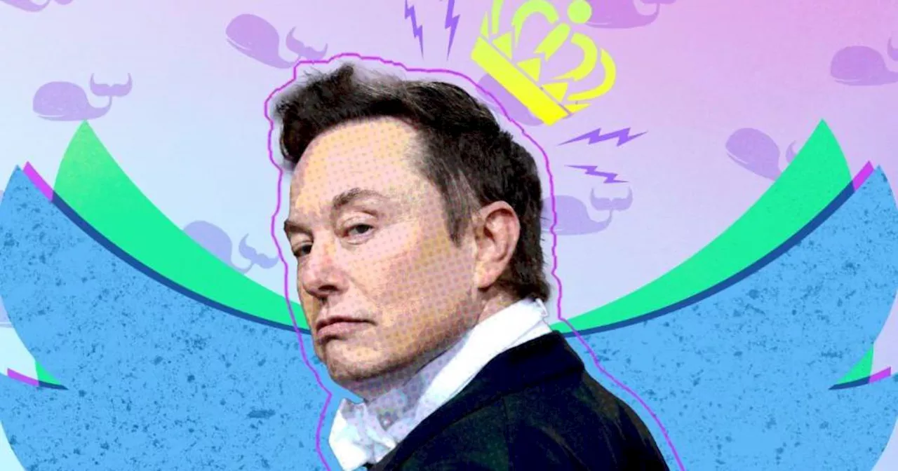 Por qué internet cree que Elon Musk lanzará su propio buscador para competir contra Google