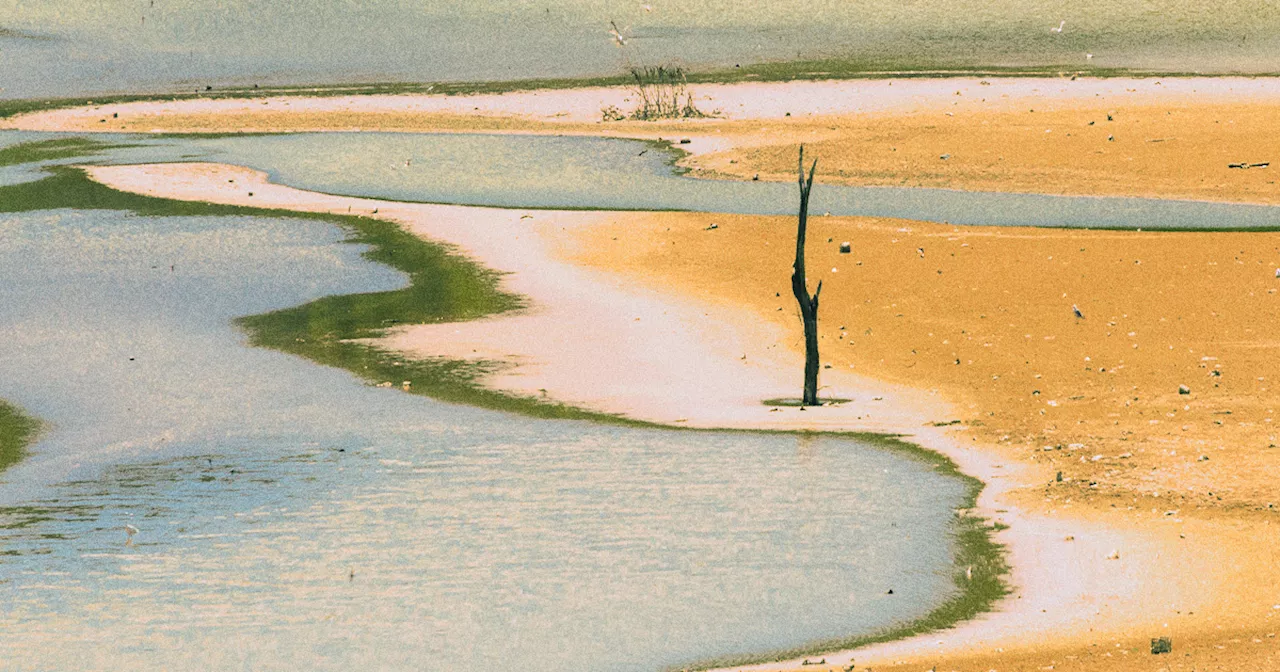 Microsoft Is Draining an Arizona Town's Water Supply for its AI