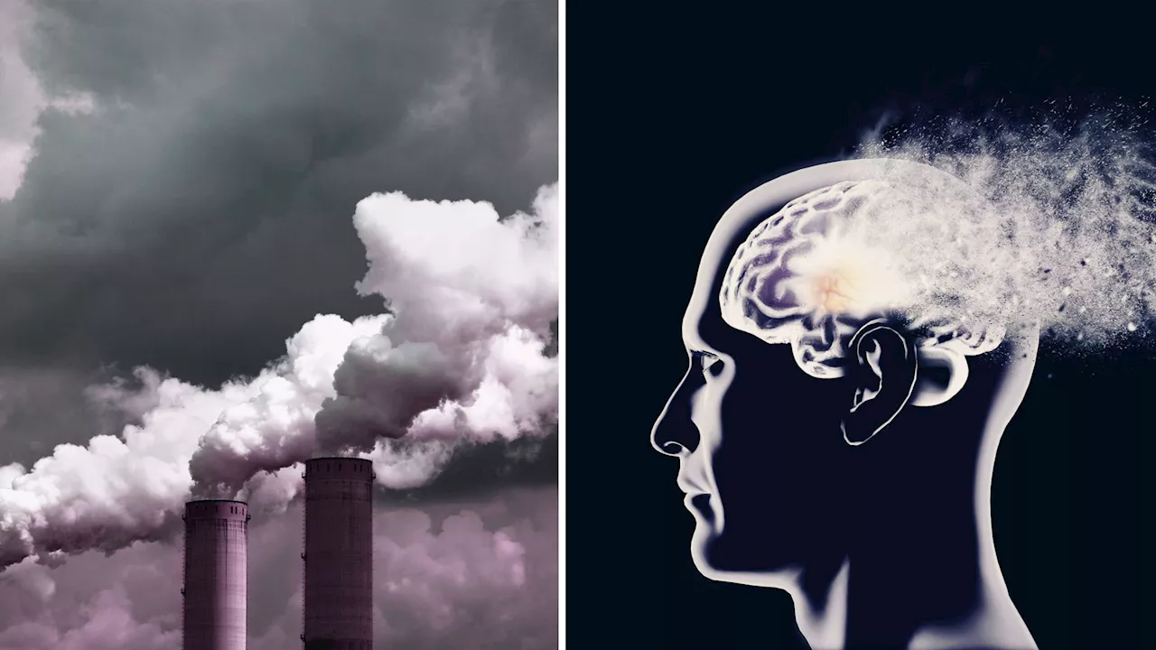 How air pollution can trigger Alzheimer’s: New study