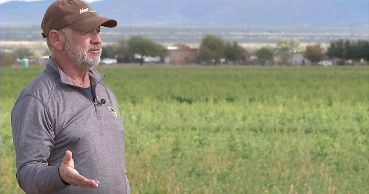 Farmer fears AZ agriculture being left high and dry