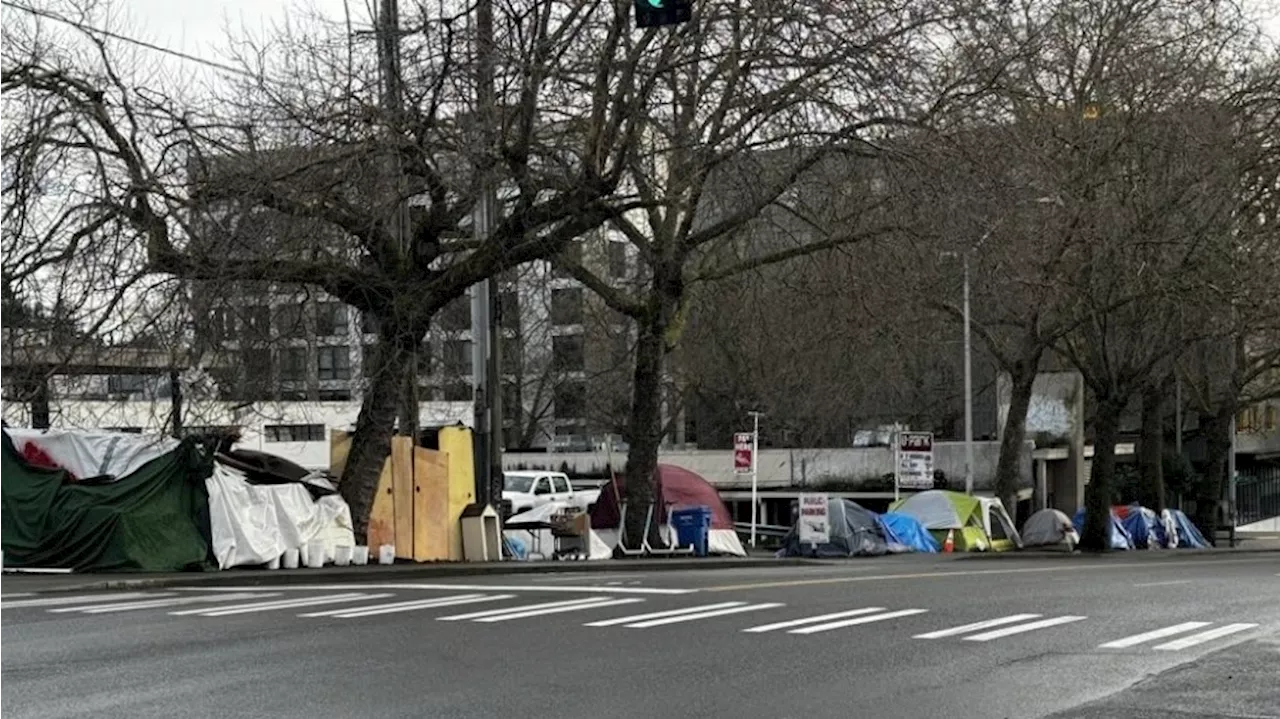 Rantz: Festering Seattle homeless encampment to be cleared