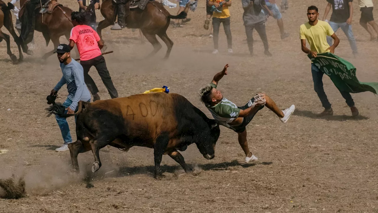 ‘It’s Like I’m Dancing With Death’: Inside One of the World’s Most Dangerous Games