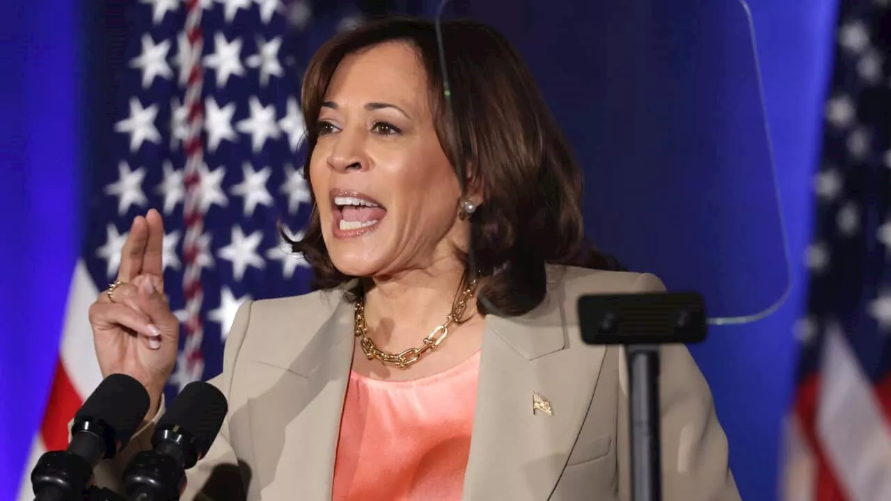 US Vice President Harris calls for six-week ceasefire in Israel-Hamas war