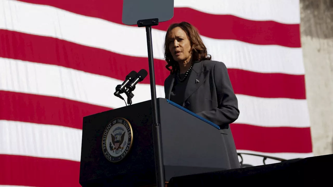 Kamala Harris: US vice president says there must be 'immediate ceasefire' in Gaza and more aid