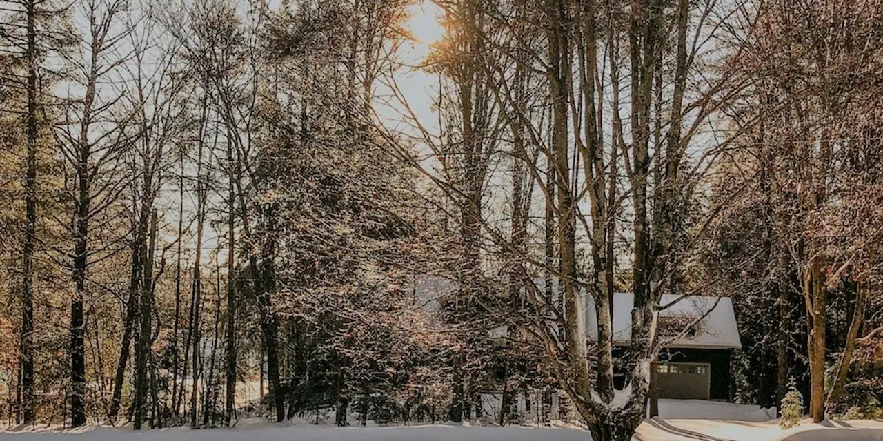 Spring Is Almost Here: How To Ensure An Easy Cottage Opening