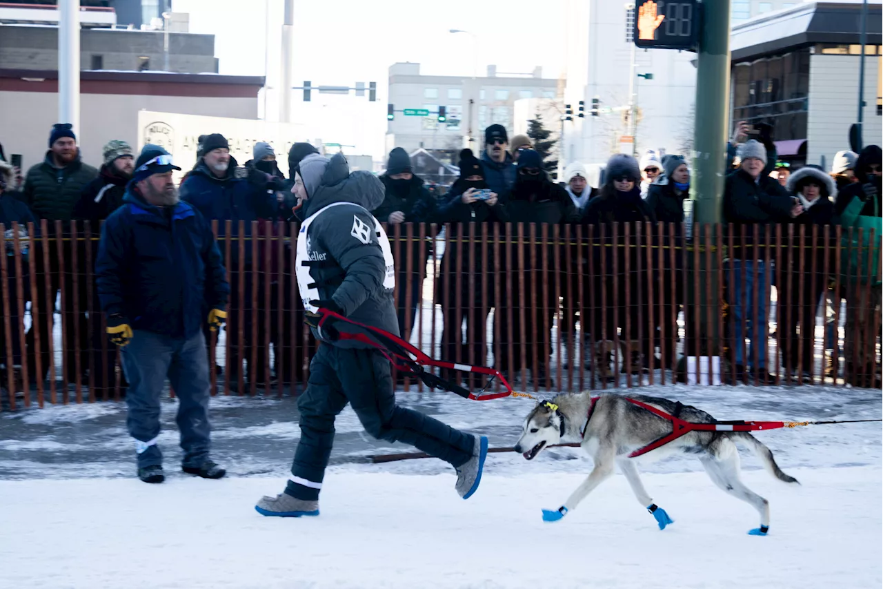 Iditarod musher Dallas Seavey shoots moose to protect his dogs, officials say