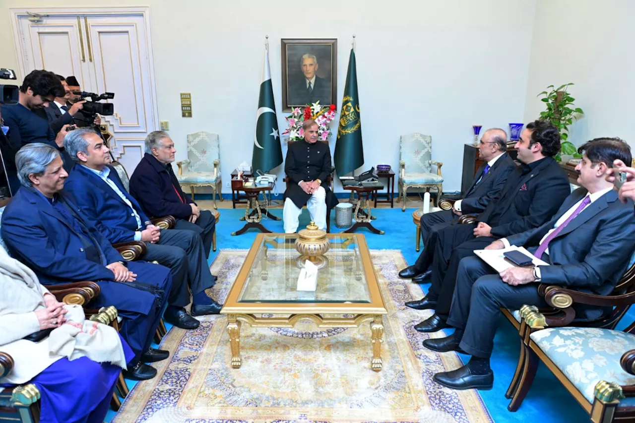 PPP delegation assures support for economic stability to PM Shehbaz