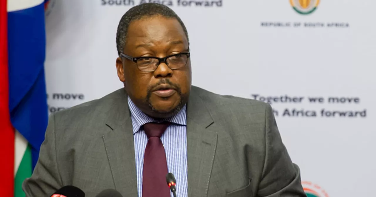 KZN ANC says Nathi Nhleko's resignation from party long overdue: ‘It's good riddance’