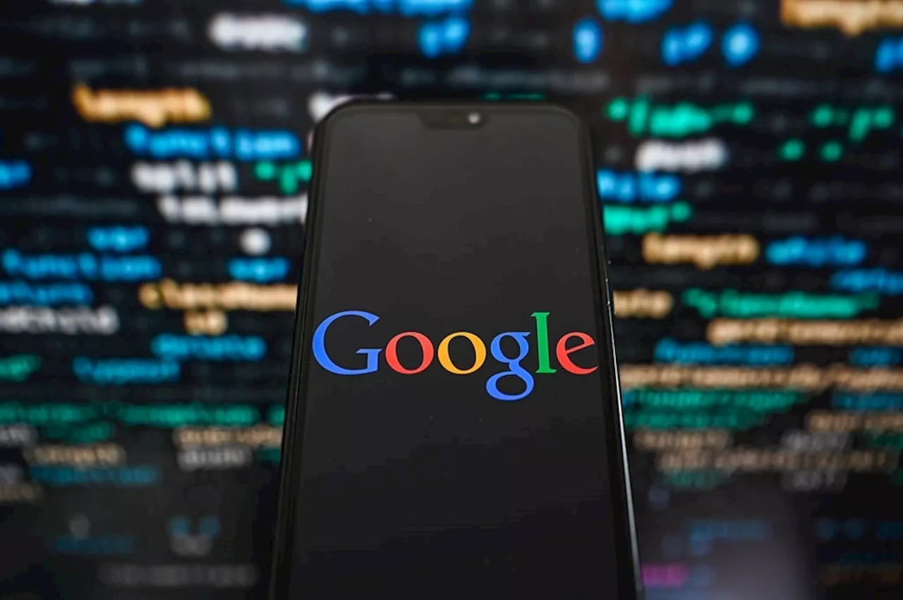 Google, not government, has brought SA media 'to its knees'