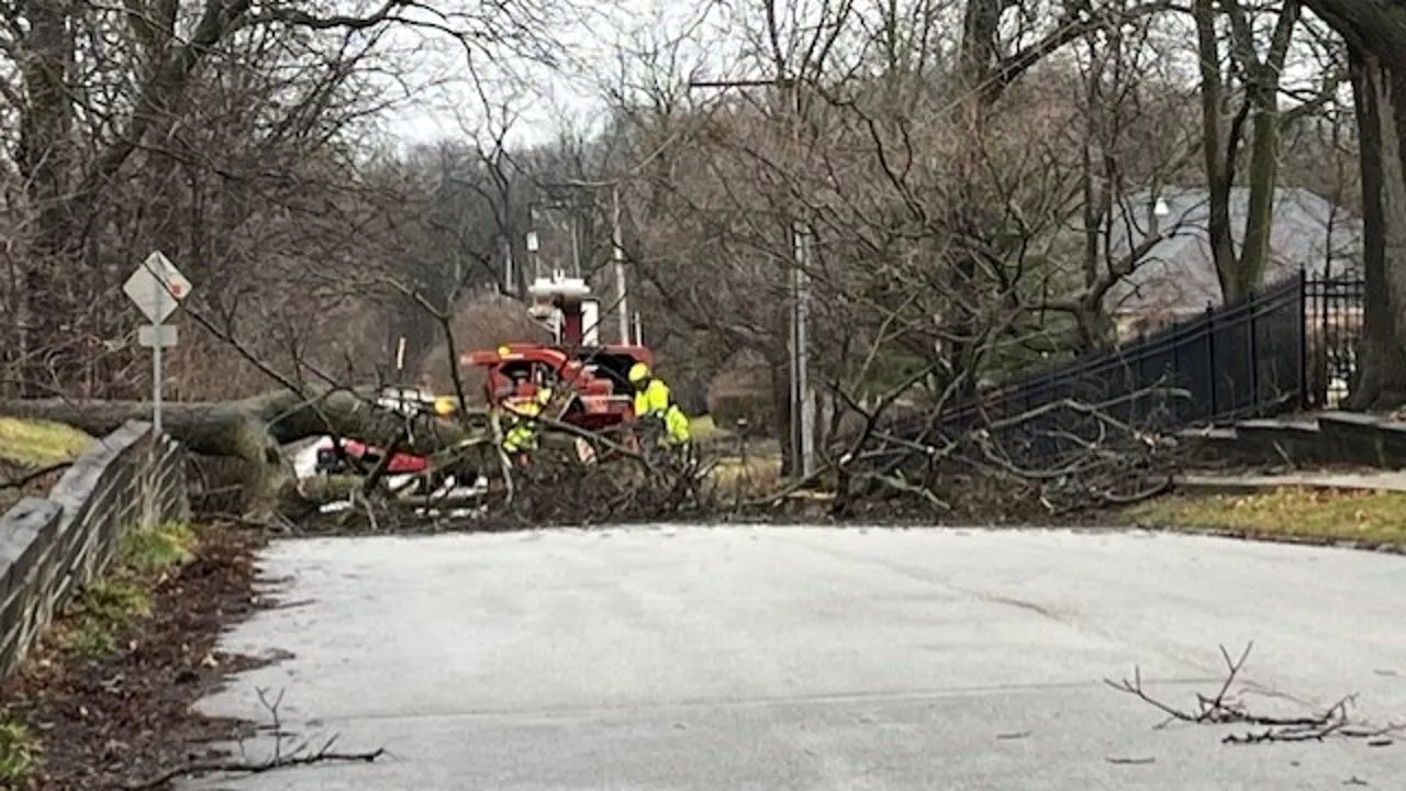 Chicago storm aftermath: Downed trees, flooded streets, and power outages