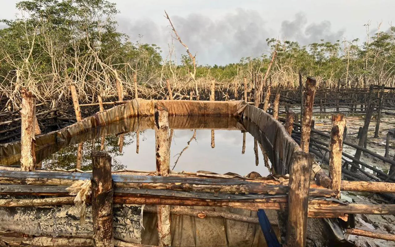 Nigerian Navy Destroys Illegal Refining Sites and Seizes Stolen Crude