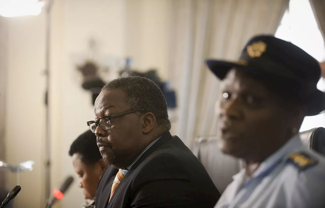 Nathi Nhleko resigns from ANC, calls out 'lunacy' of Fikile Mbalula