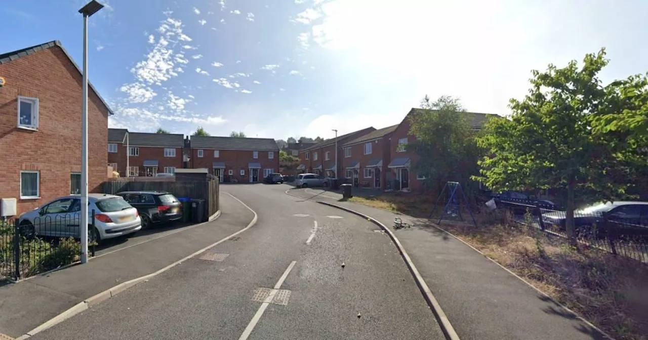 Rowley Regis: Woman arrested after girl, 10, found dead