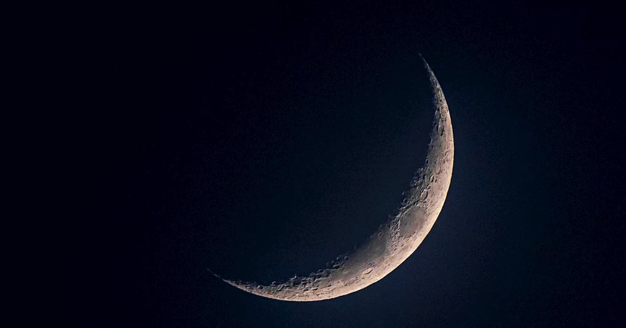 The New Moon In Pisces Will Jump-Start The Future You Want